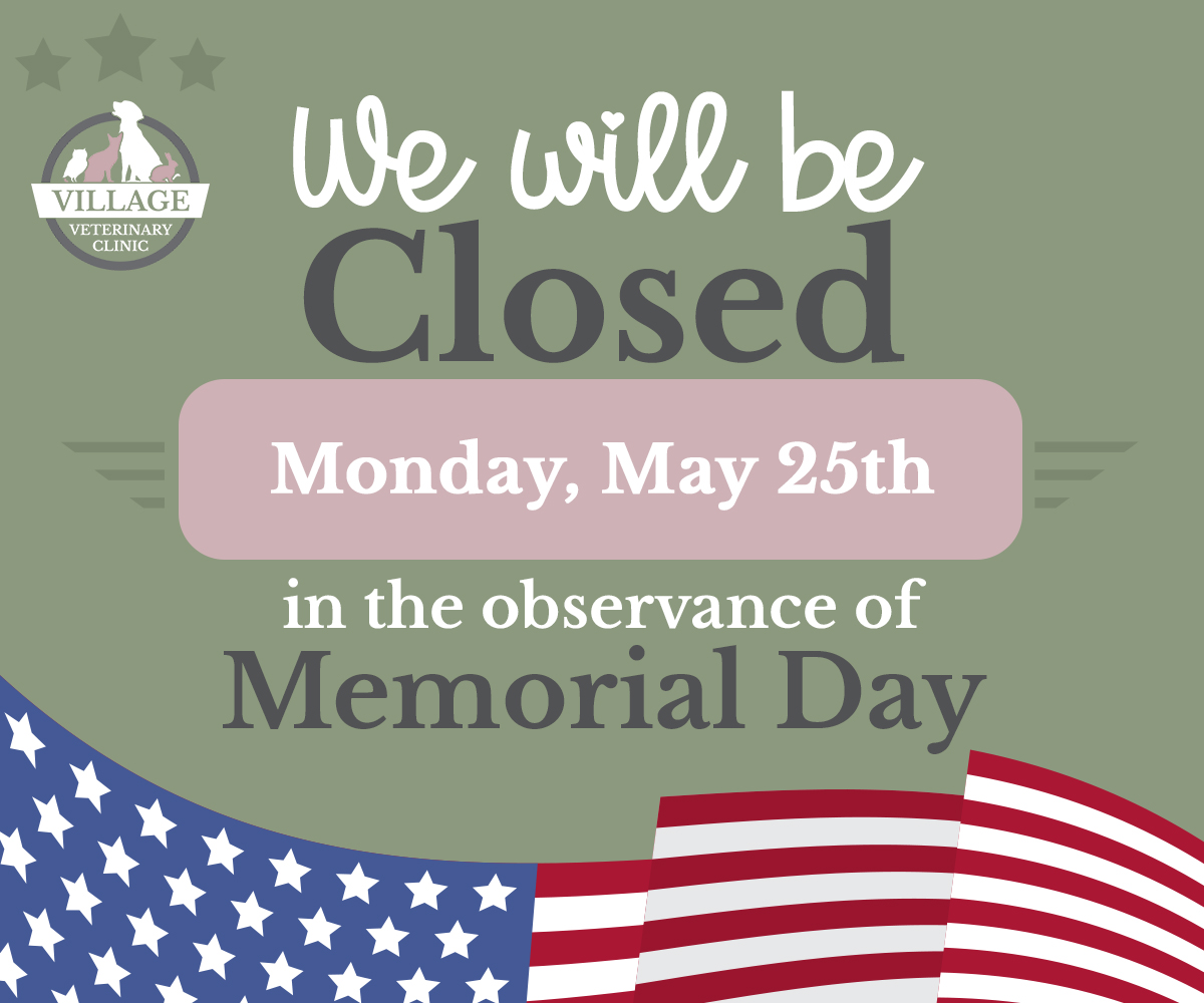 We will be closed Memorial Day, Monday, May 25th.