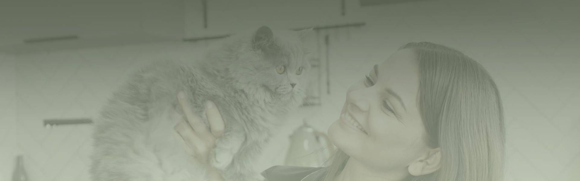 girl holding cute fluffy bunny